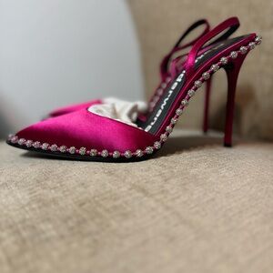 Brand new Alexander Wang Heels